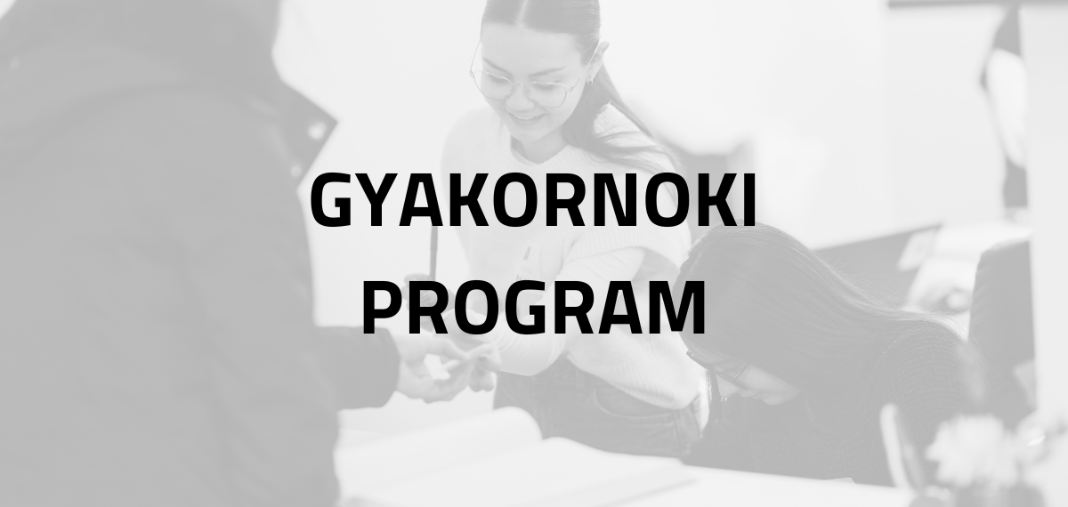 Gyakornoki program