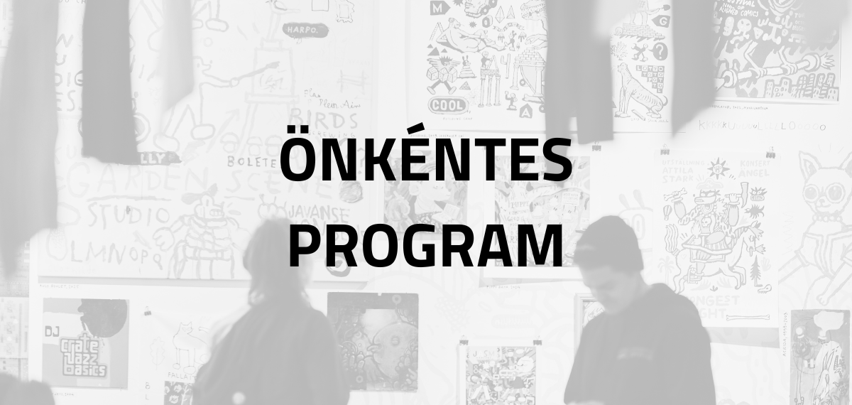 Önkéntes program