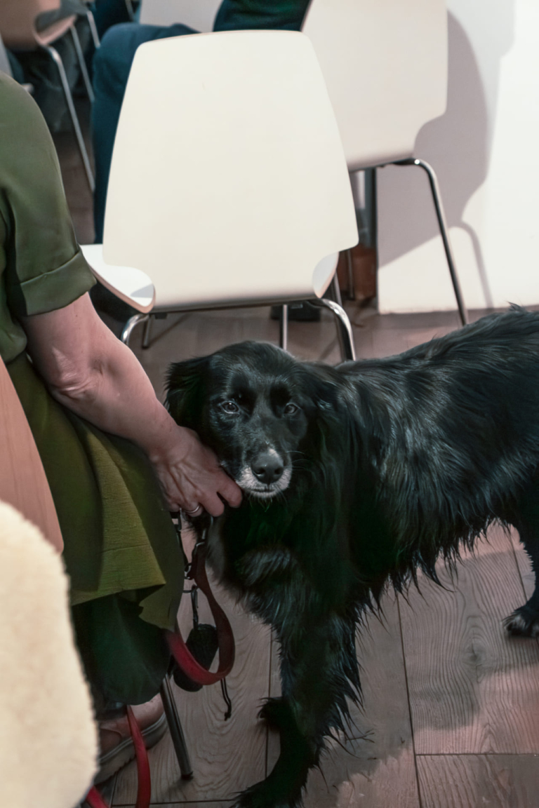 <19 SHAPE YOUR WORLD! 2026