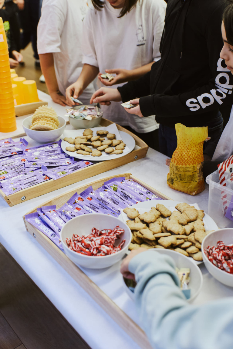 Journey to the Land of the Moomins