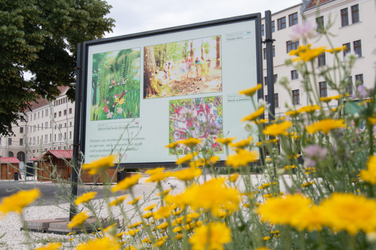 MINDENNAPI MŰVÉSZET – OFFLINE NYÁR